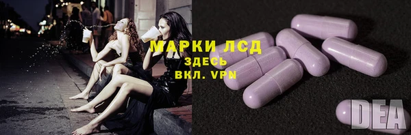 индика Бронницы