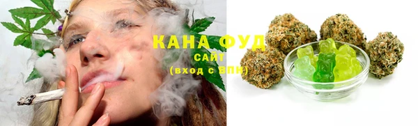 индика Бронницы