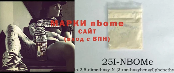 индика Бронницы