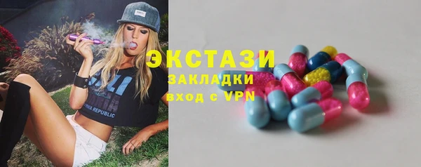 индика Бронницы