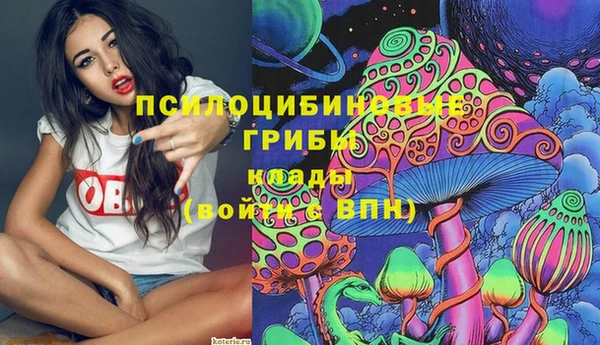таблы Бородино