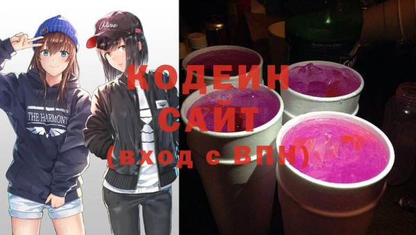 индика Бронницы