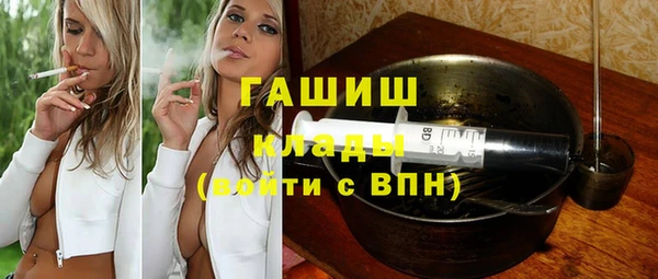 индика Бронницы
