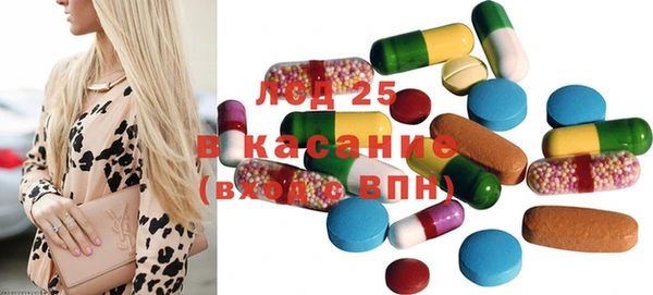 индика Бронницы