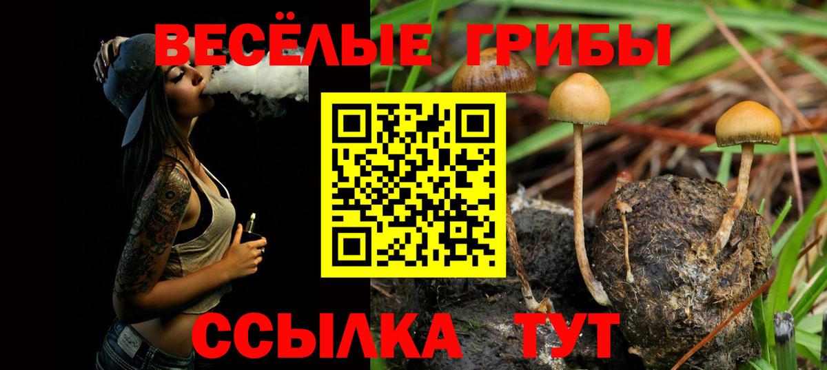 Галлюциногенные грибы прущие грибы  Вход с VPN  Среднеуральск  Псилоцибиновые грибы GOLDEN TEACHER 